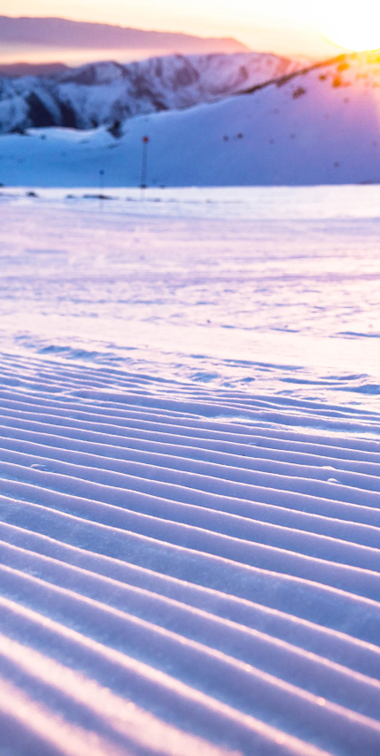 Committed to Your Well-being in Every Adventure